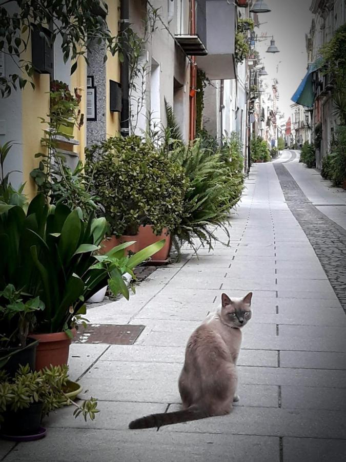 Via San Giacomo 10 Cagliari Exteriér fotografie